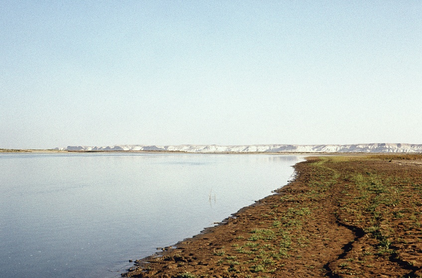 Euphrates near Meskéné