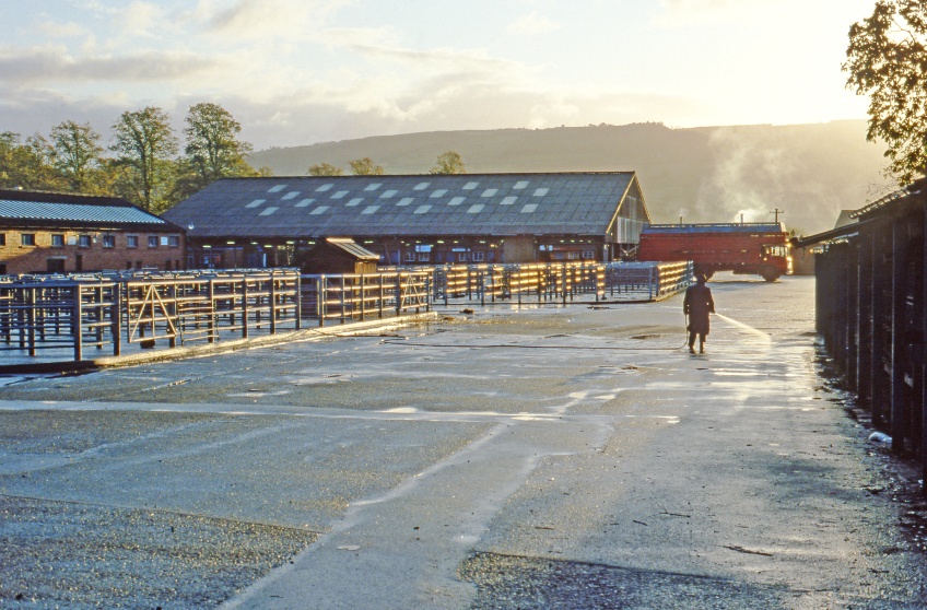 Welshpool - Livestock Market